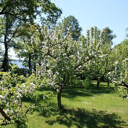 Апартаменты Loeschebrand Бад-Заров