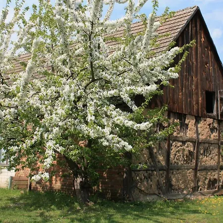 Апартаменты Loeschebrand Бад-Заров