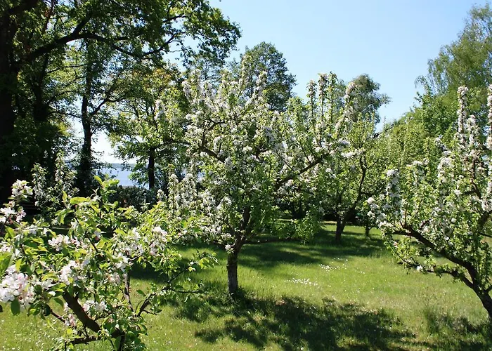 アパート Loeschebrand バート・ザーロー
