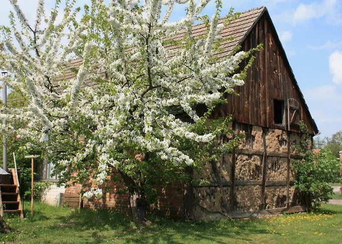 アパート Loeschebrand バート・ザーロー